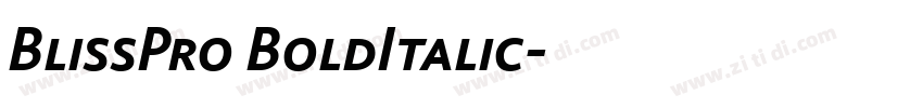 BlissPro BoldItalic字体转换